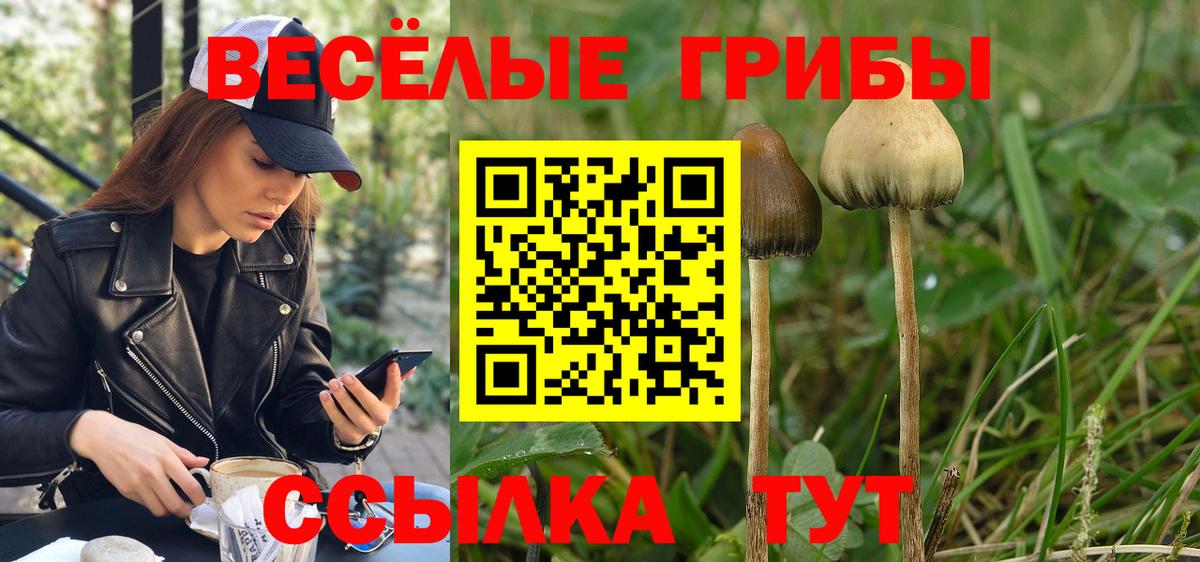 Галлюциногенные грибы Magic Shrooms Северск