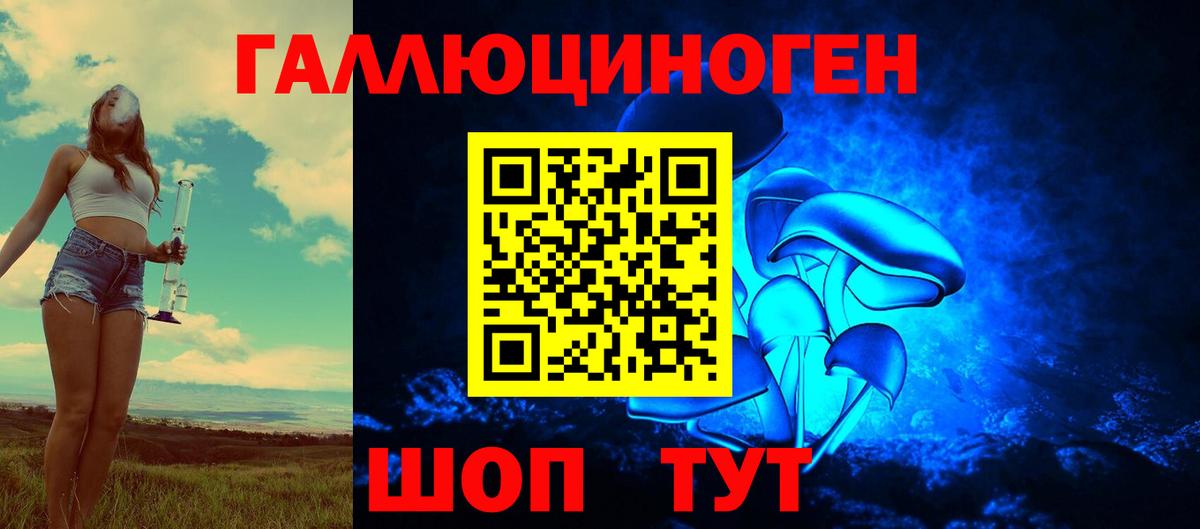 Северск  Псилоцибиновые грибы Cubensis  Вход с VPN  Галлюциногенные грибы прущие грибы 